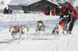Lenk 2012 SM